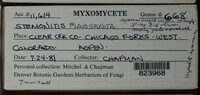 Image Associated With the Occurence